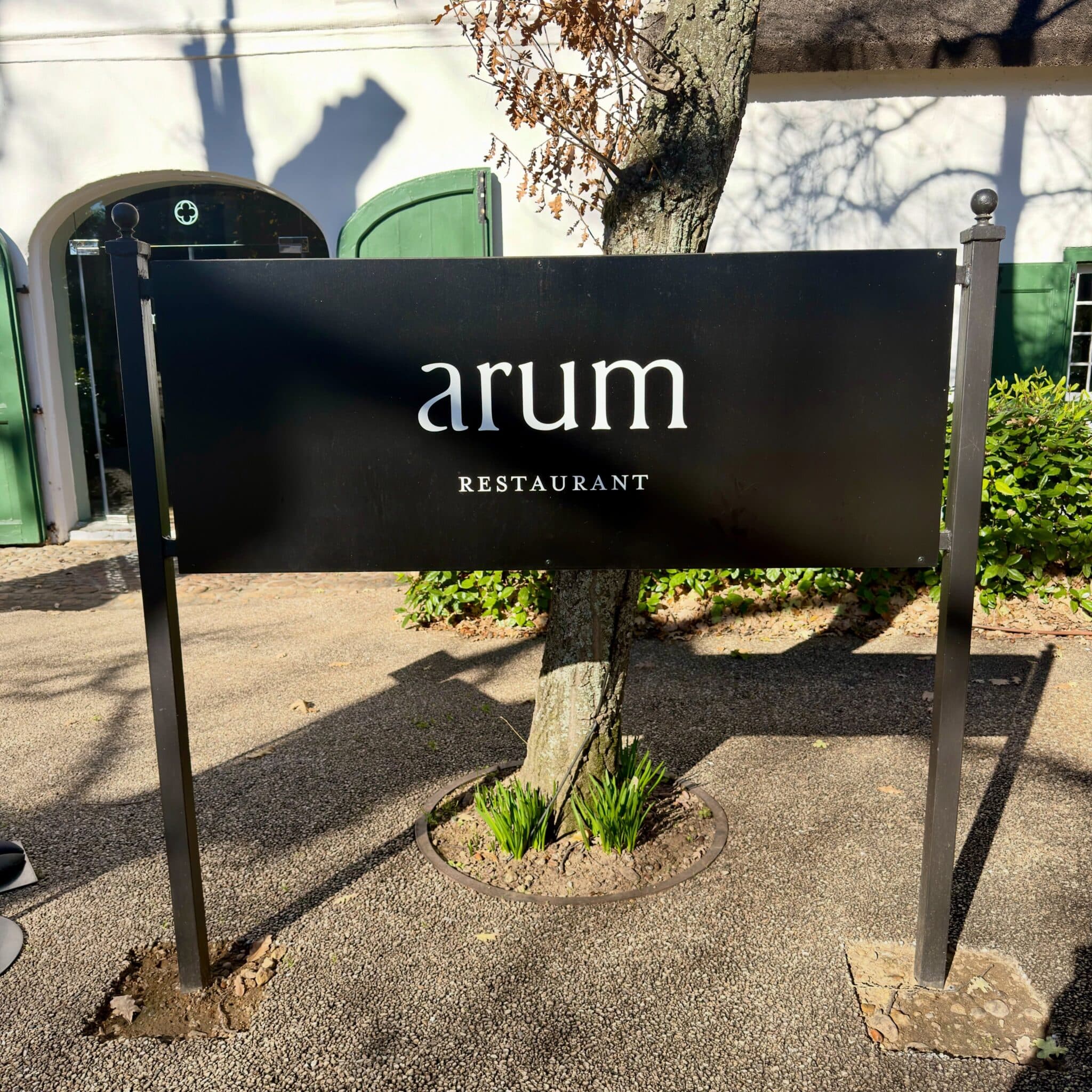 Arum